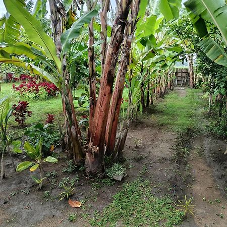 The Daun Puntik Homestay Pemenang Экстерьер фото