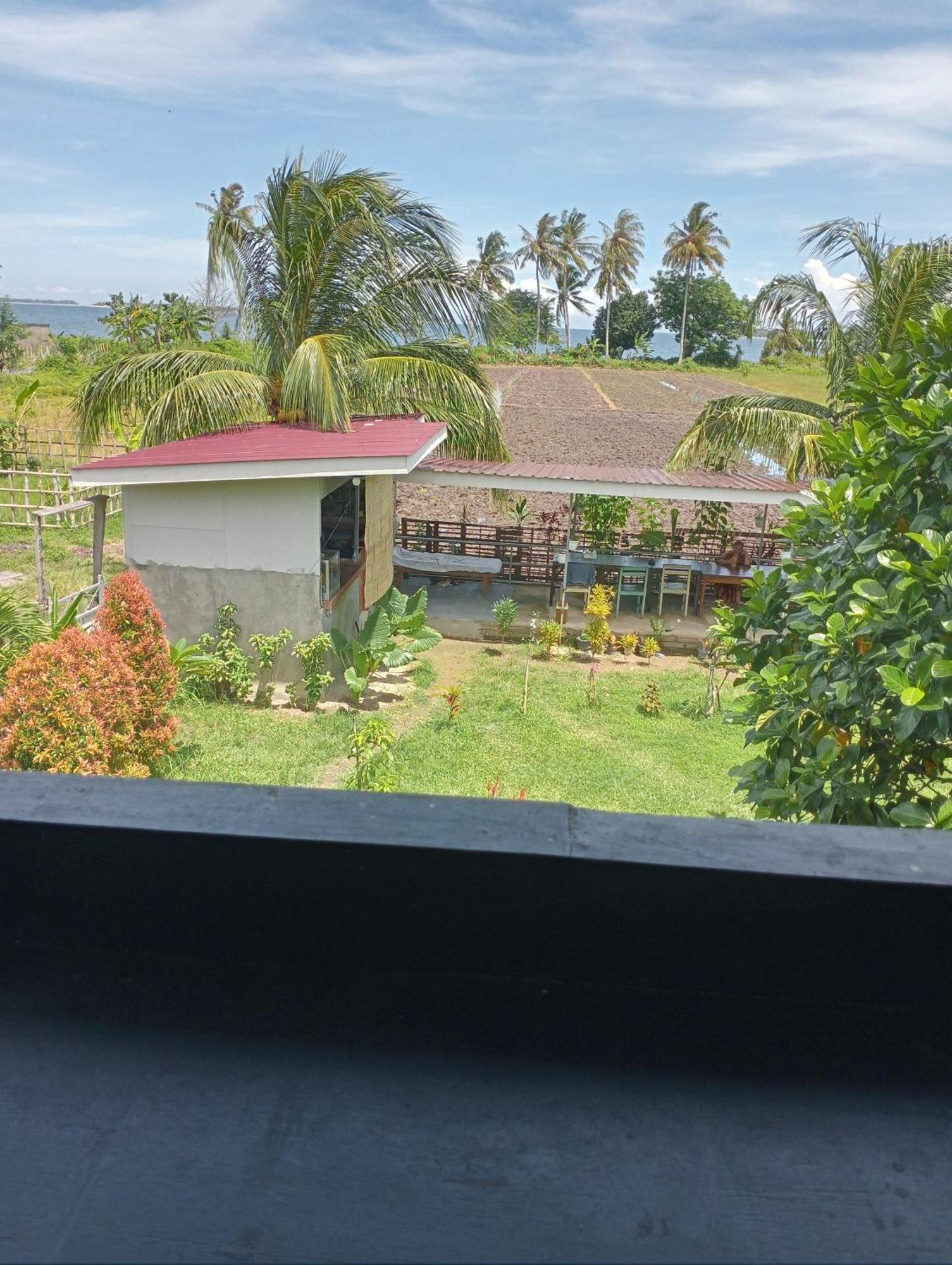 The Daun Puntik Homestay Pemenang Экстерьер фото
