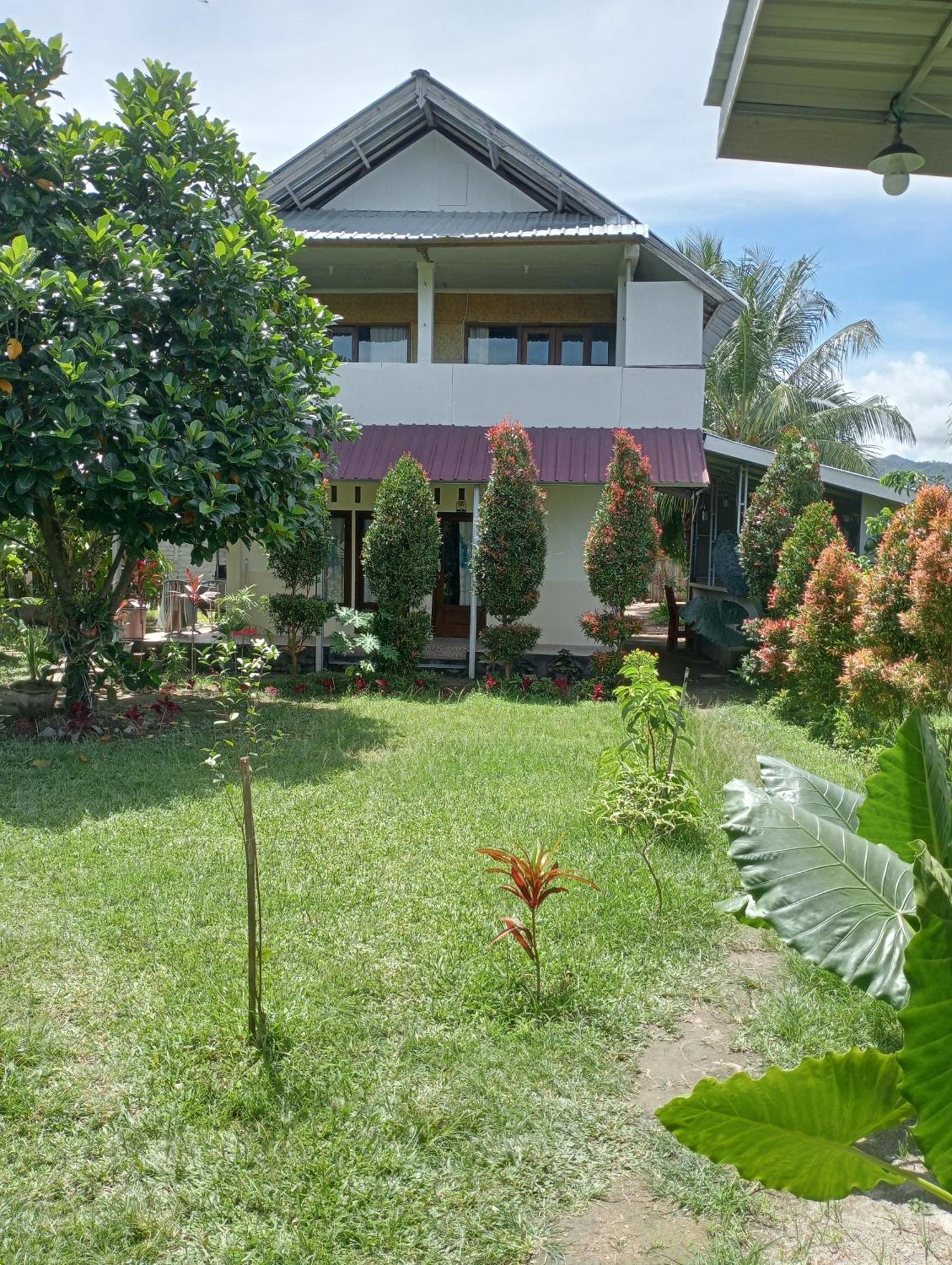 The Daun Puntik Homestay Pemenang Экстерьер фото